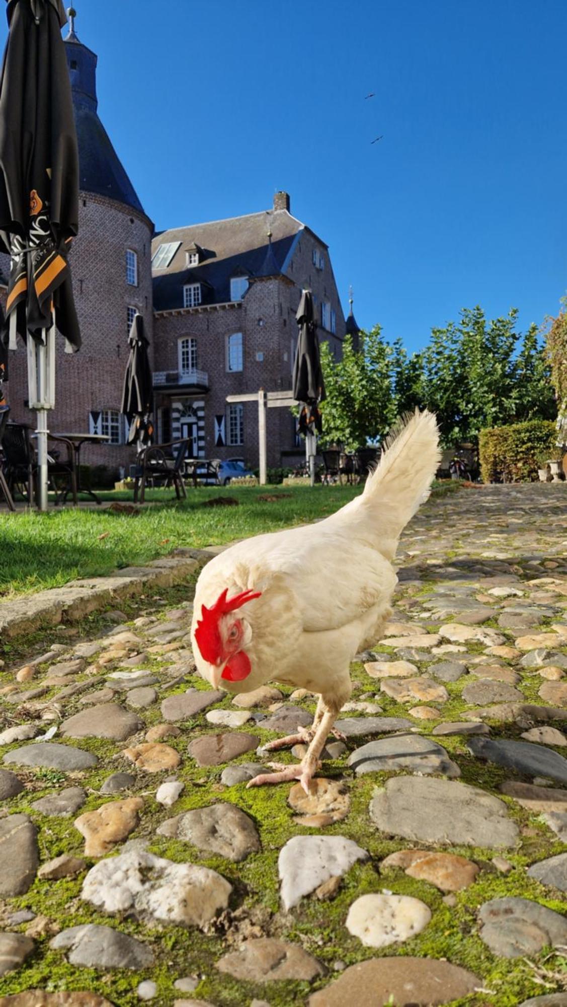 Kasteel Aldenghoor Bed & Breakfast Haelen Exterior photo