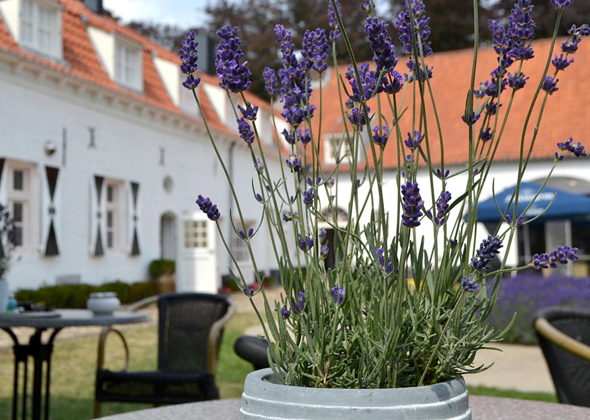 Kasteel Aldenghoor Bed & Breakfast Haelen Exterior photo